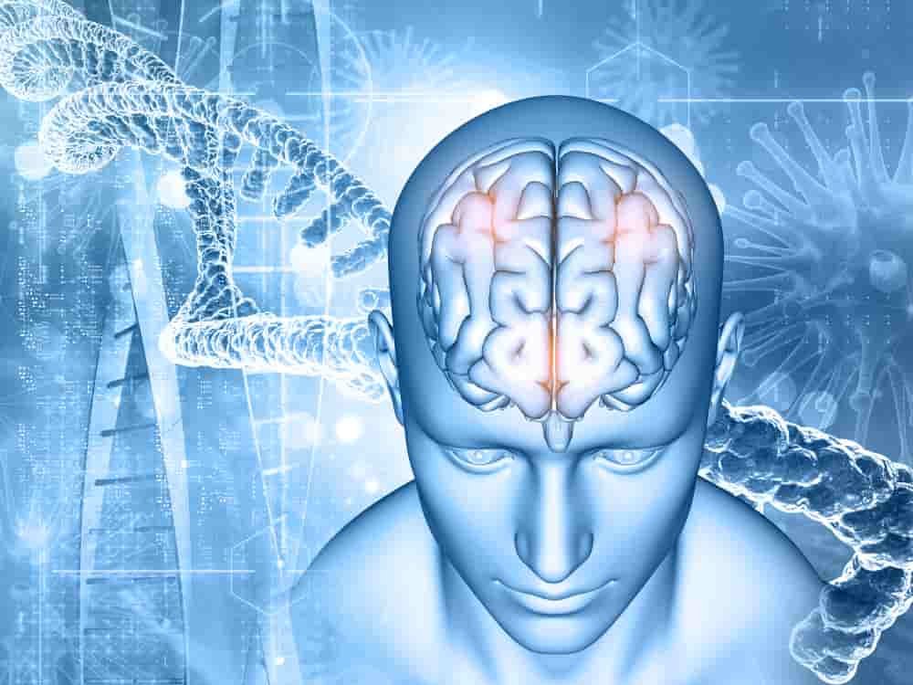 Neurology